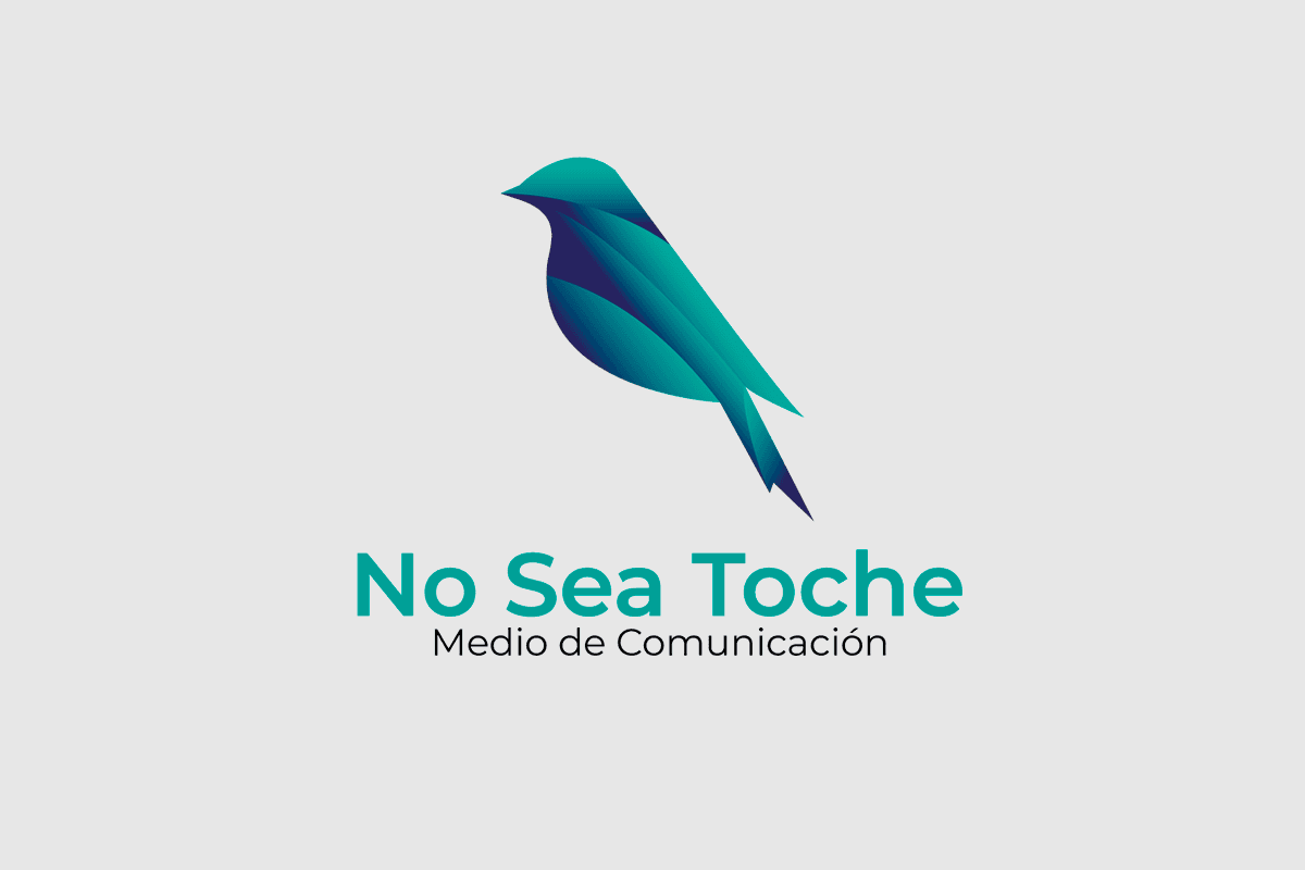 Identidad visual No Sea Toche